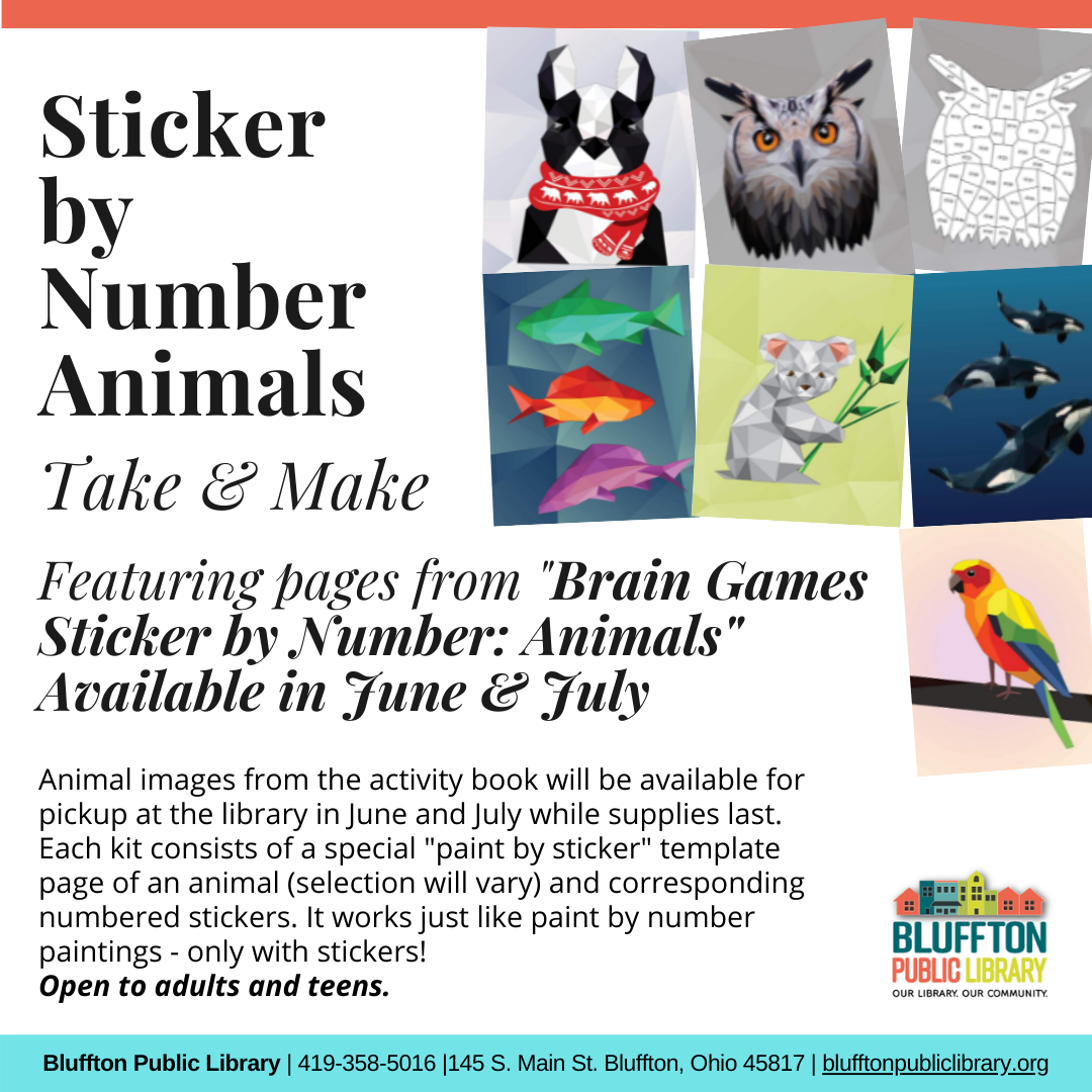 Adult & Teen Take & Makes available! | Bluffton Public Library